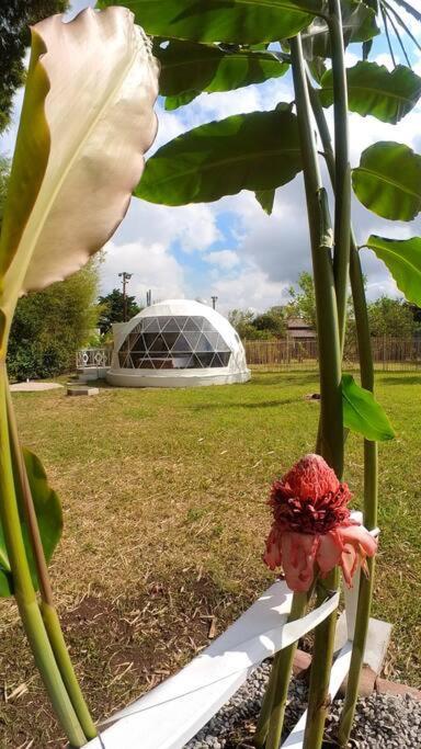 Апартаменты Dome In The Heart Of Boquete. Экстерьер фото